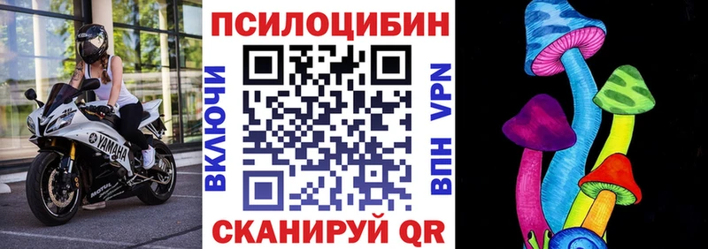 Галлюциногенные грибы Psilocybe  блэк спрут ССЫЛКА  Чекалин 